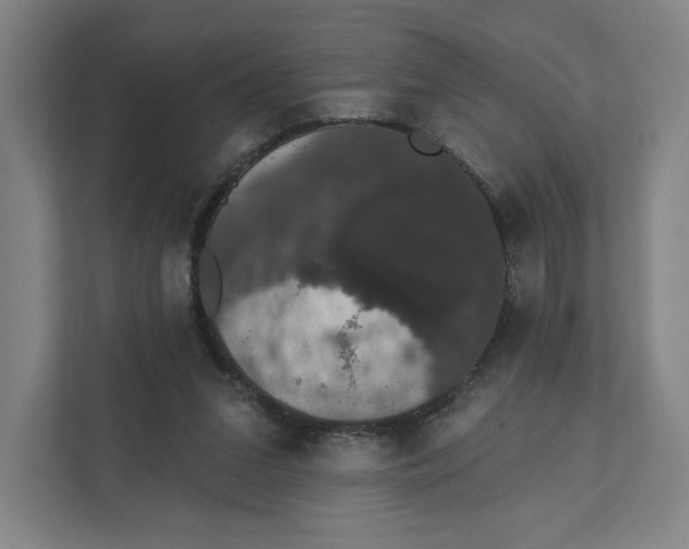 X0000111440207200908101021