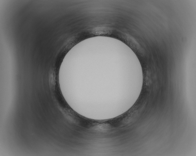 X0000111440210200908101021