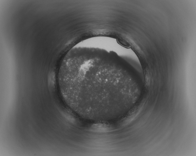 X0000111440211200908101021