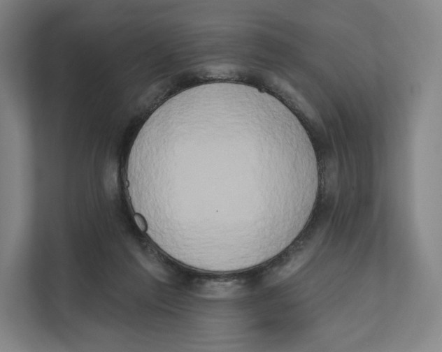 X0000111440213200908101021