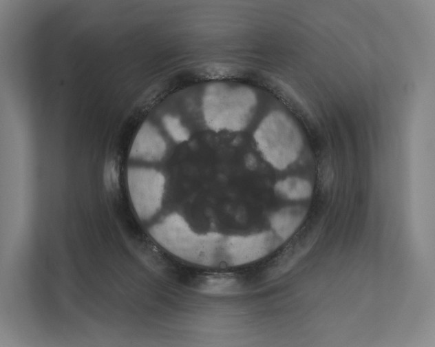 X0000111440214200908101021