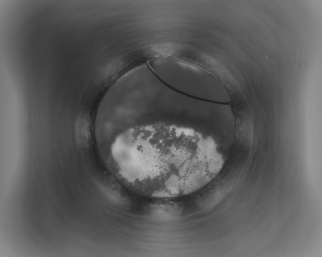 X0000111440215200908101021