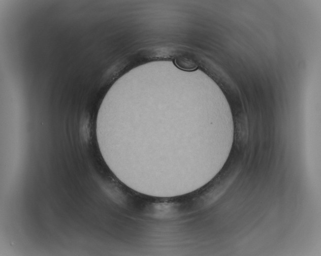 X0000111440216200908101021