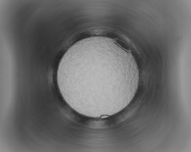 X0000111440217200908101021