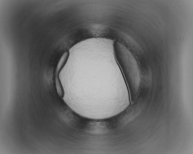 X0000111440221200908101021