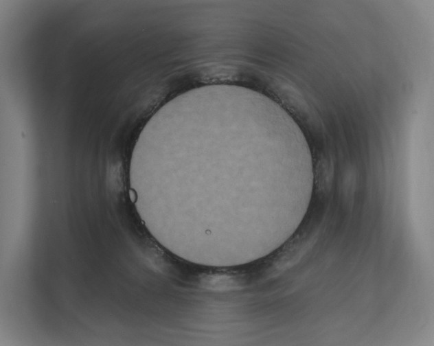 X0000111440224200908101021