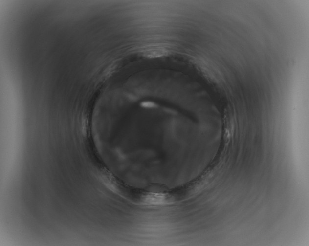 X0000111440227200908101021