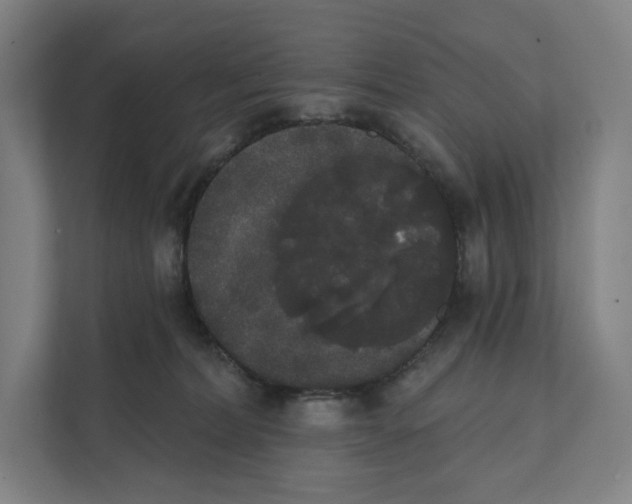 X0000111440228200908101021