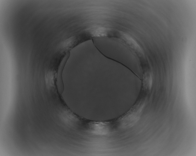 X0000111440229200908101021