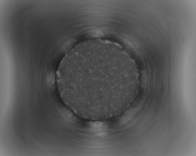 X0000111440230200908101021