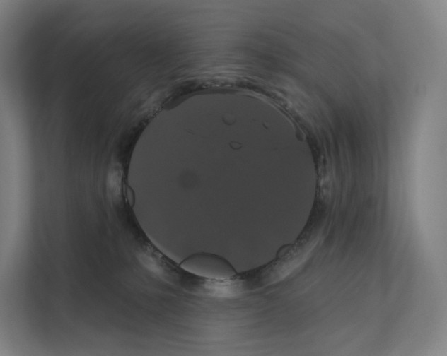 X0000111440231200908101021