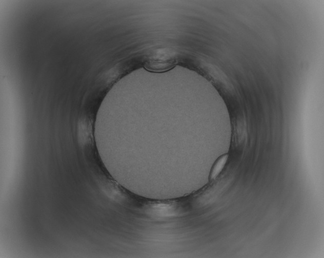 X0000111440236200908101021