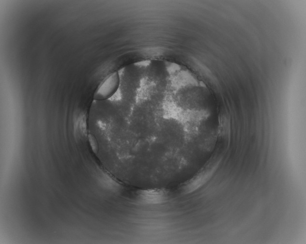 X0000111440238200908101021