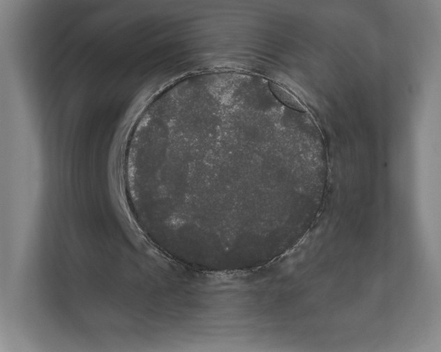 X0000111440241200908101020