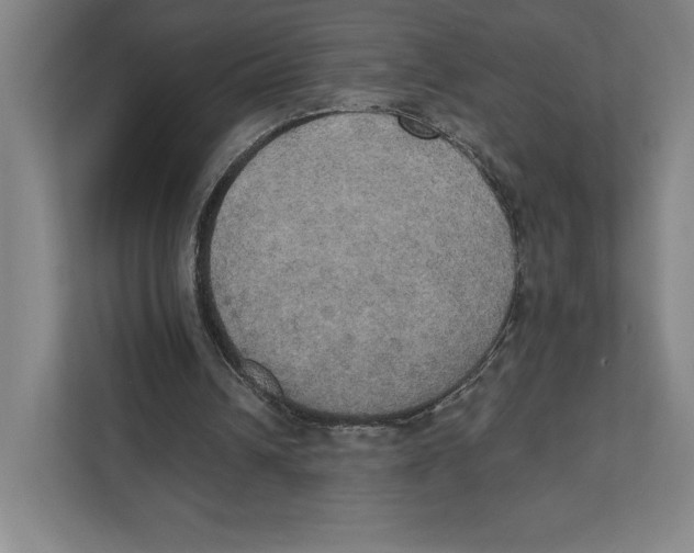 X0000111440242200908101020