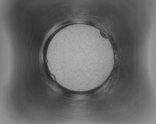 X0000111440246200908101020