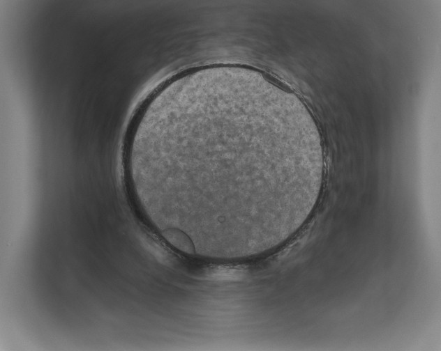 X0000111440248200908101020