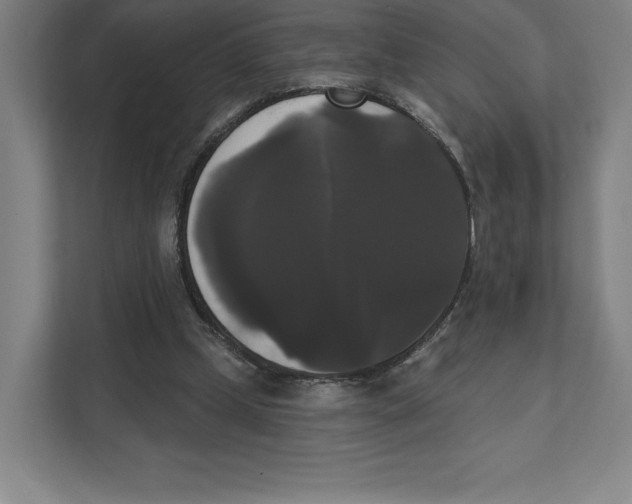 X0000111440249200908101020