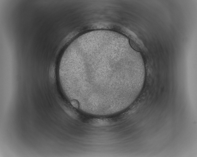 X0000111440250200908101020