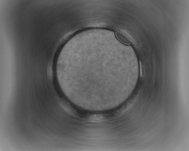 X0000111440252200908101020