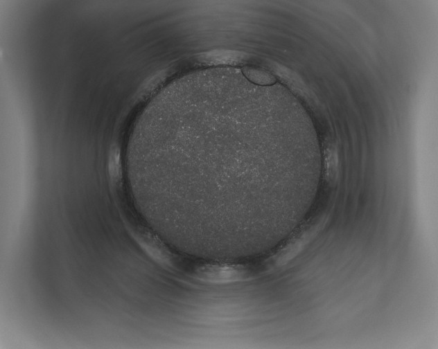 X0000111440254200908101020