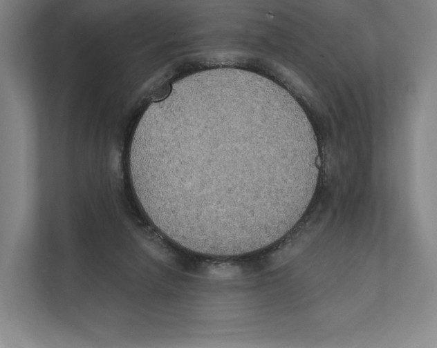 X0000111440258200908101020