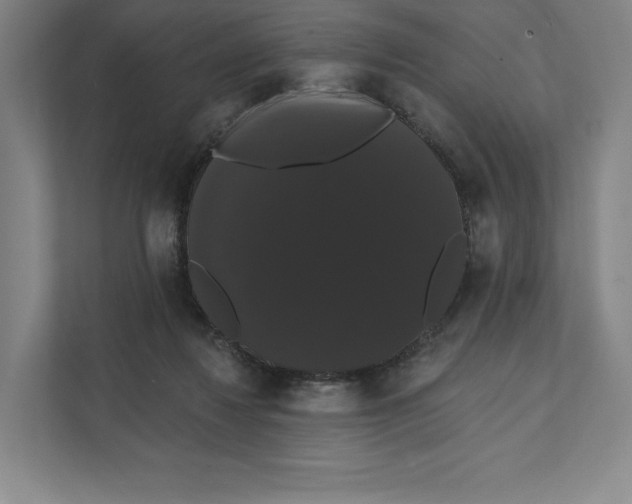 X0000111440260200908101020