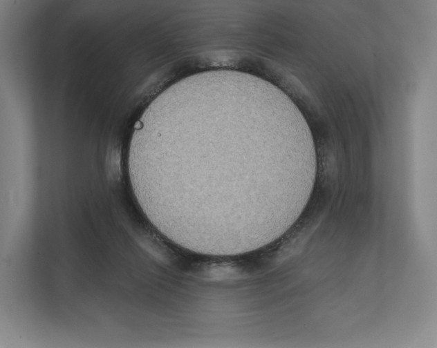 X0000111440262200908101020