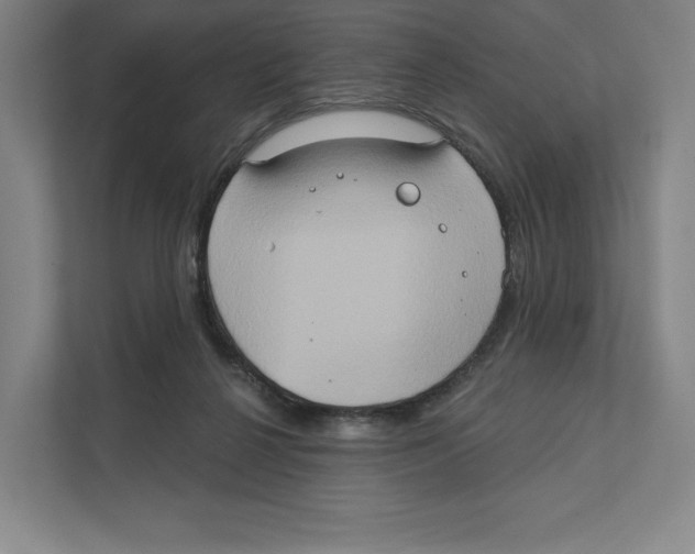 X0000111440264200908101020