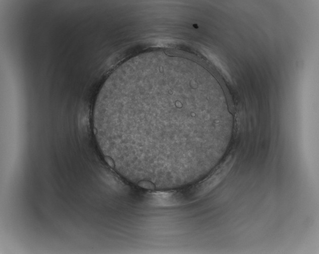 X0000111440265200908101020