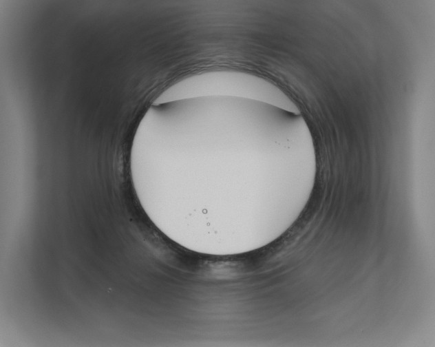 X0000111440268200908101020