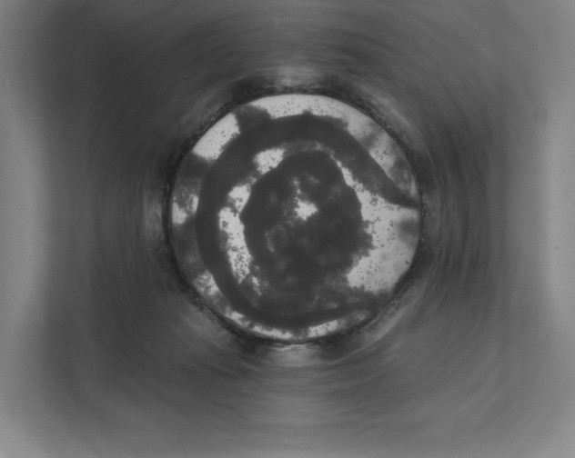 X0000111440269200908101020