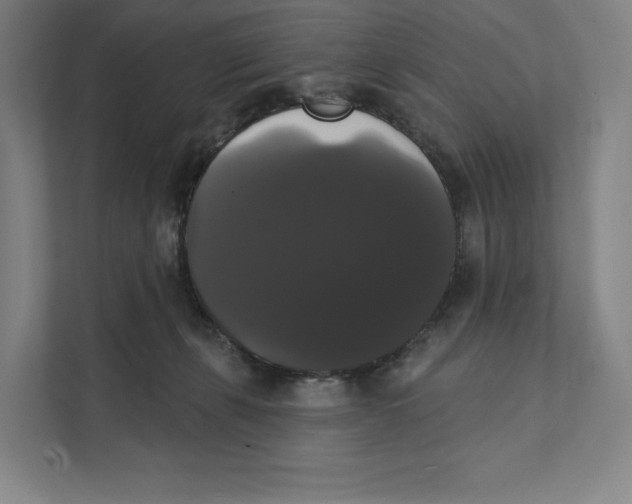 X0000111440271200908101020