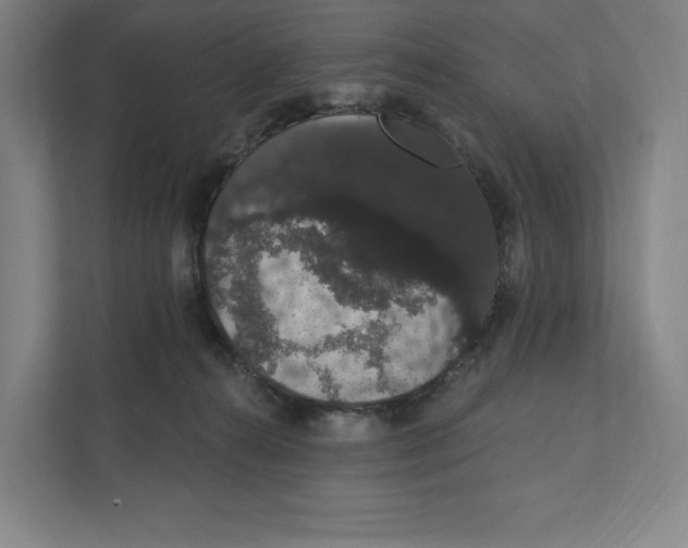 X0000111440272200908101020