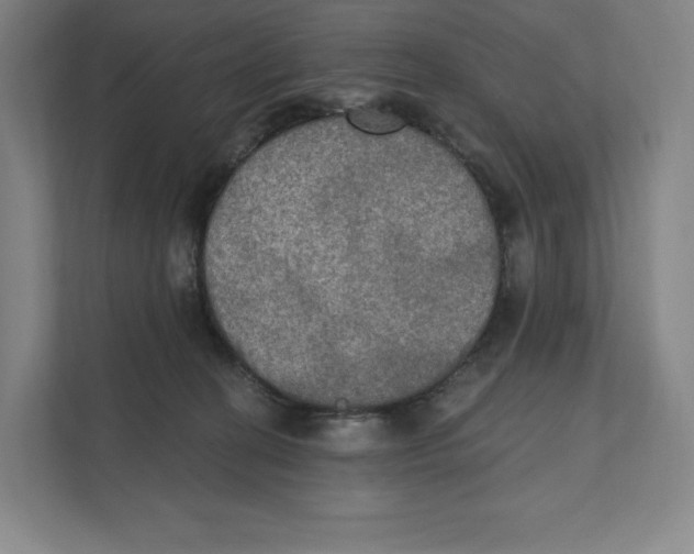 X0000111440274200908101020