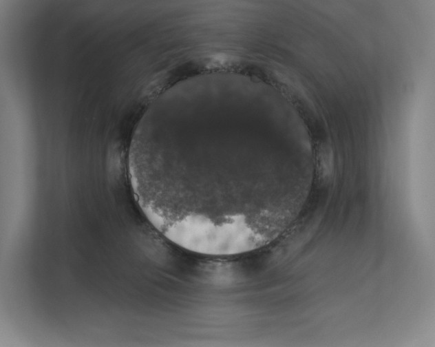 X0000111440276200908101020