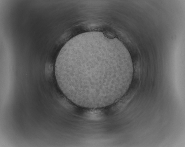 X0000111440278200908101020