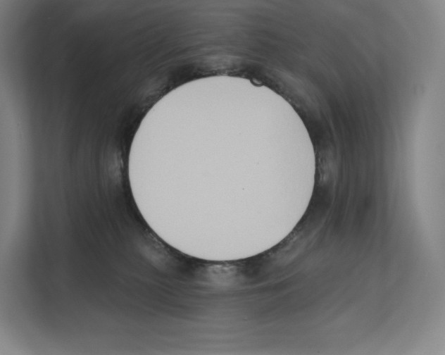 X0000111440279200908101020