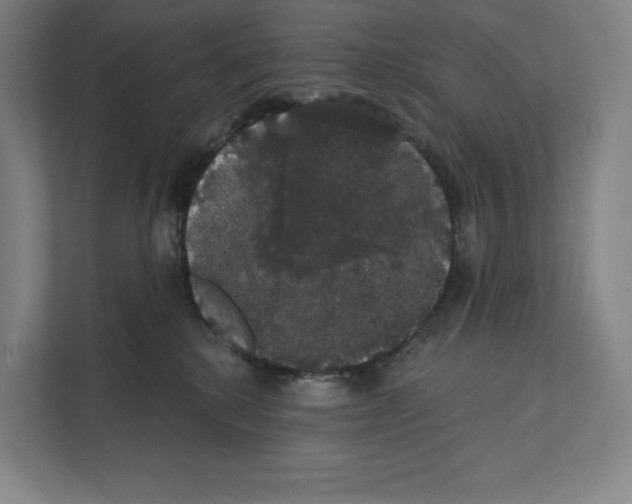 X0000111440280200908101020