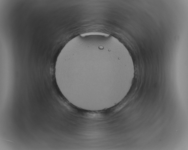 X0000111440284200908101021