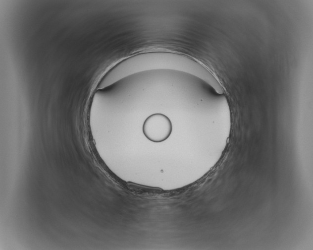 X0000111440289200908101020