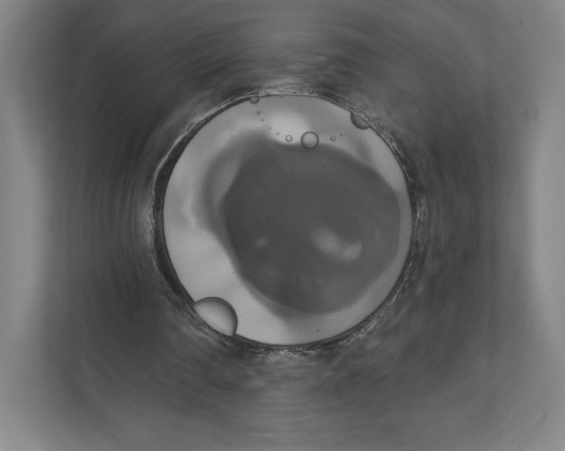 X0000111440290200908101020