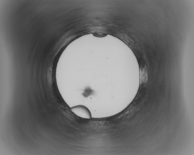 X0000111440291200908101020