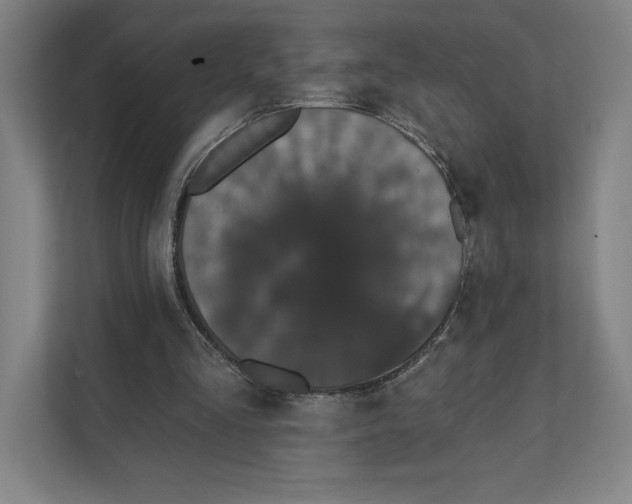 X0000111440293200908101020