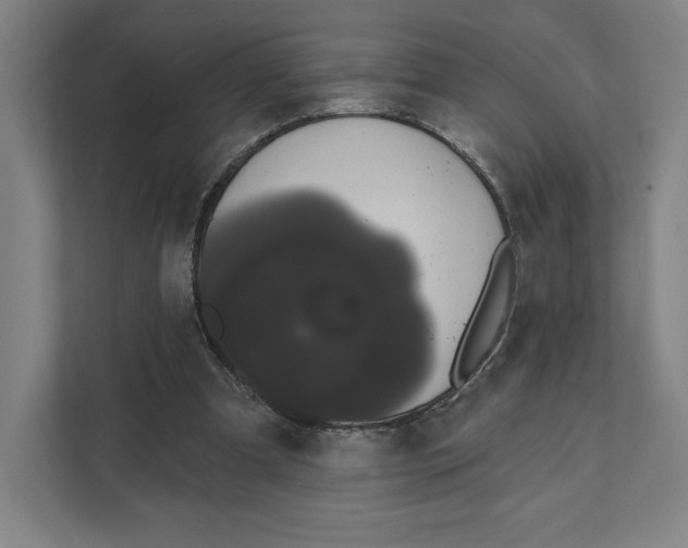 X0000111440297200908101020