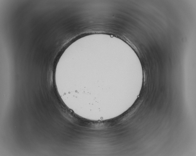 X0000111440301200908101020