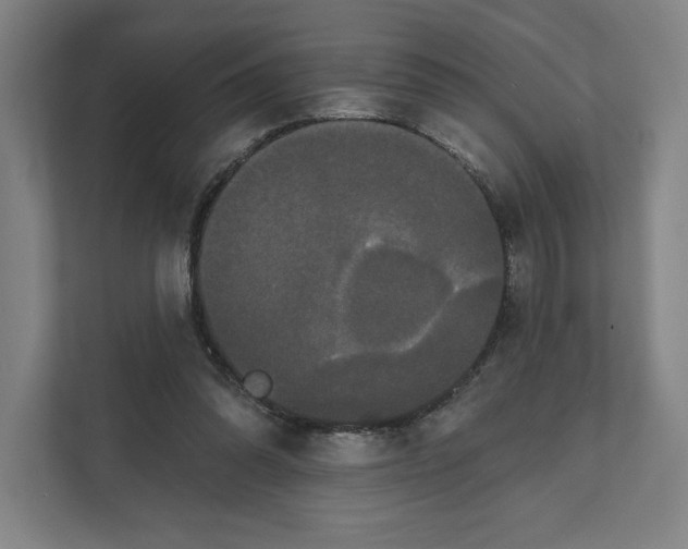 X0000111440302200908101020