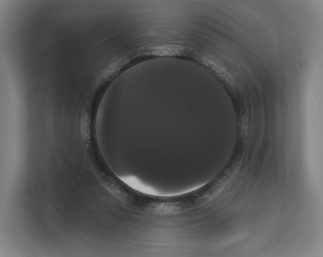 X0000111440303200908101020