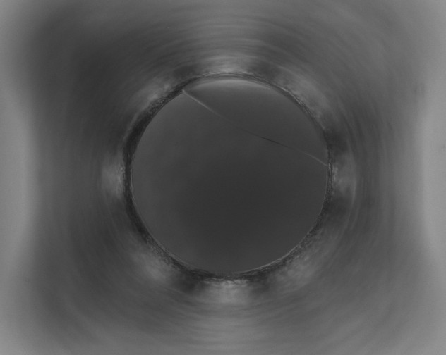 X0000111440304200908101020