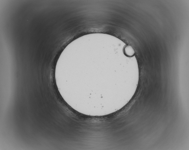 X0000111440305200908101020